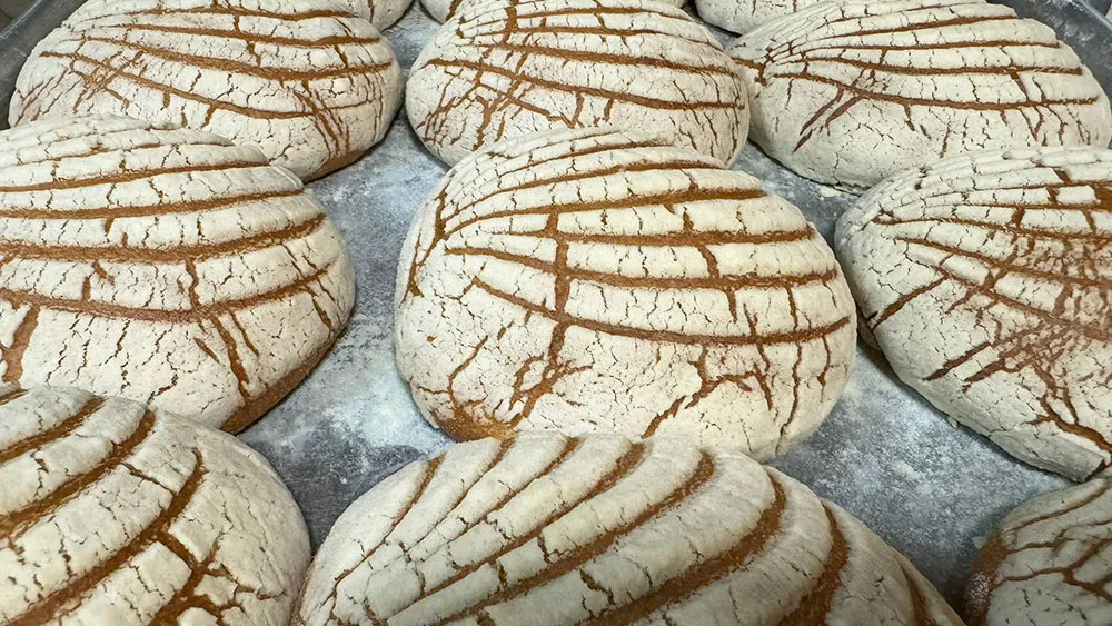 Fresh conchas and pan dulce