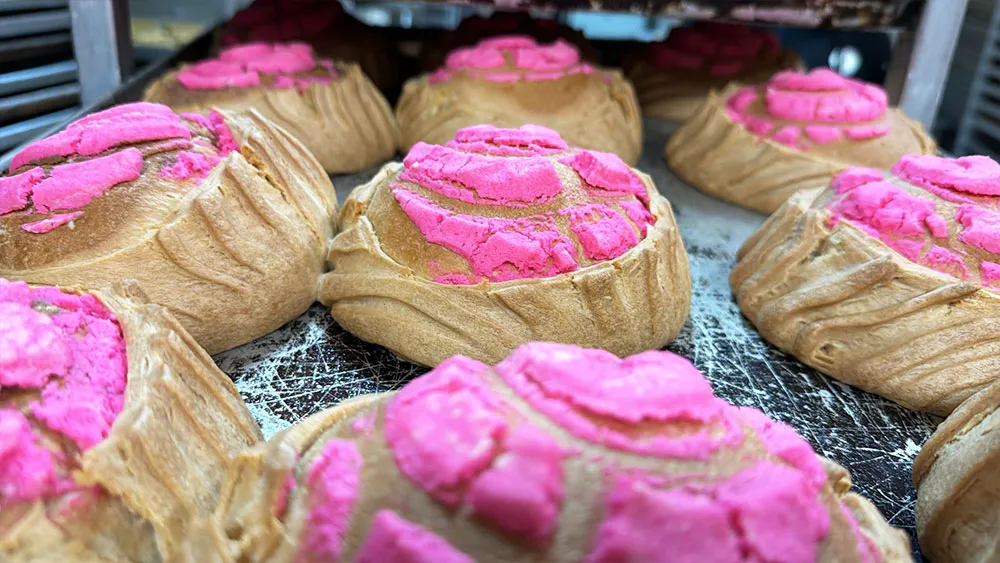 Freshly baked bolillos