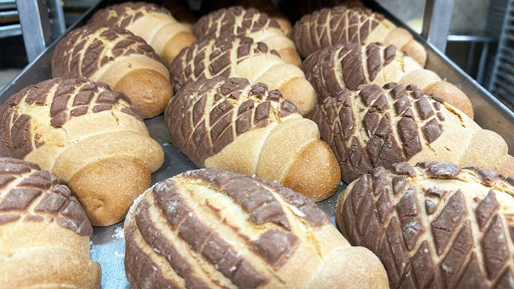 Pan dulce selection