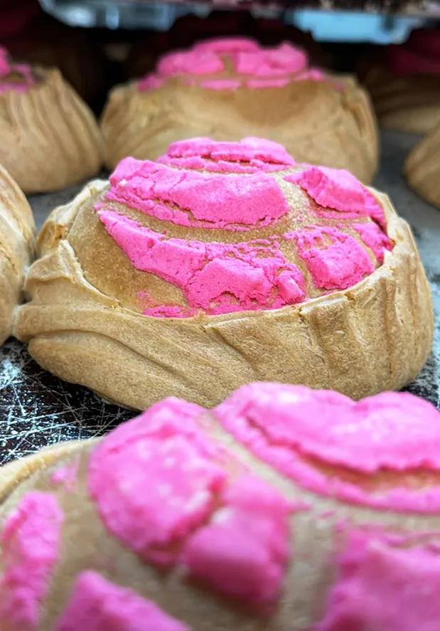 Freshly baked conchas at Tortilleria El Progreso