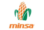 Minsa